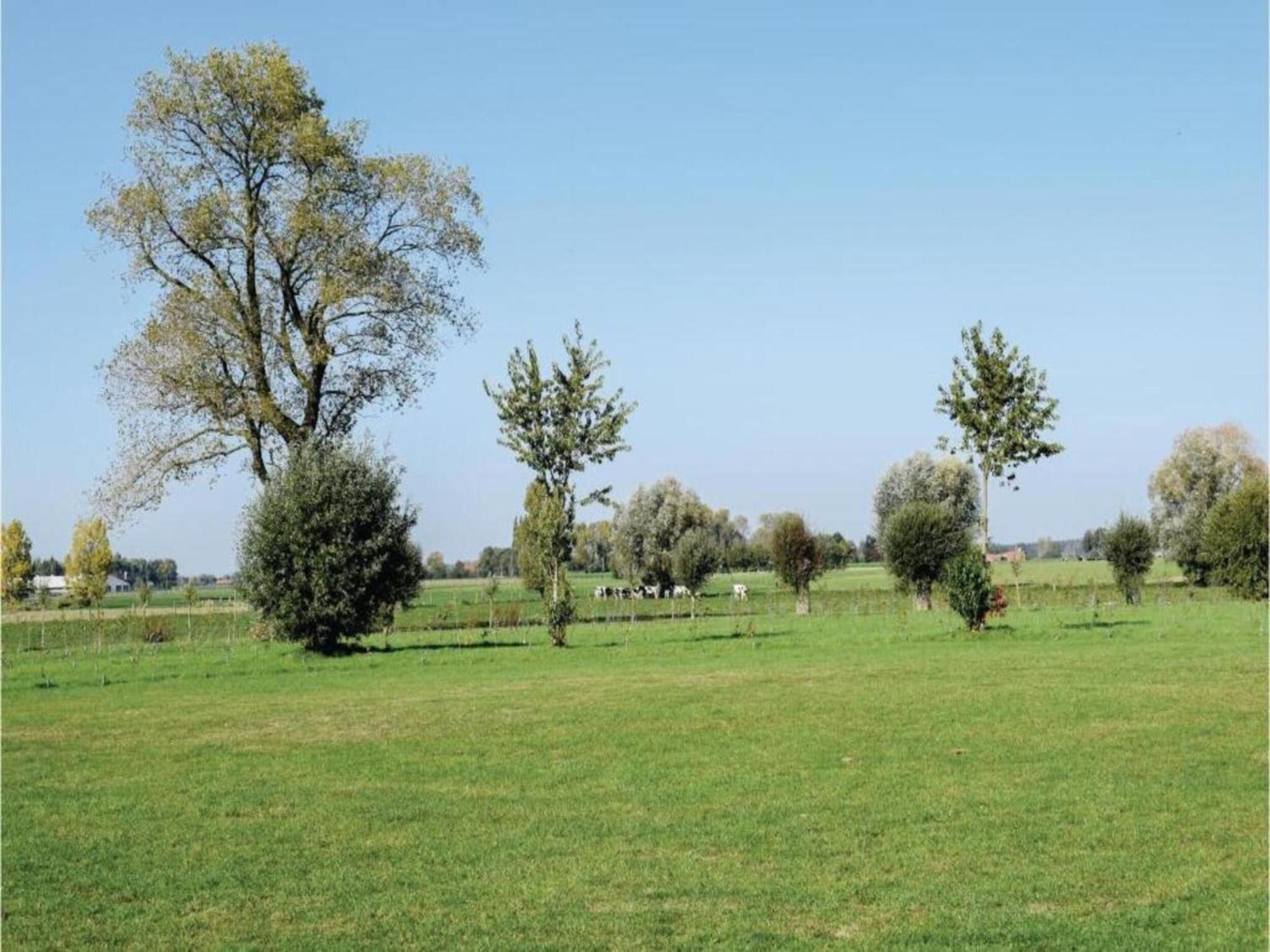 Studio In Ieper With Terrace Kültér fotó